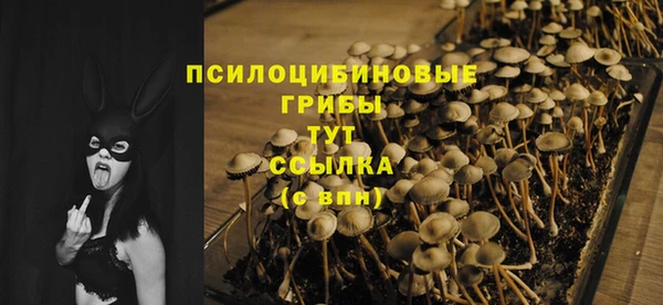 дурь Лихославль