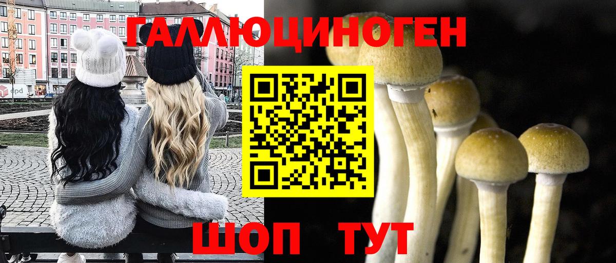 Псилоцибиновые грибы Magic Shrooms  Мелеуз  Псилоцибиновые грибы мицелий 