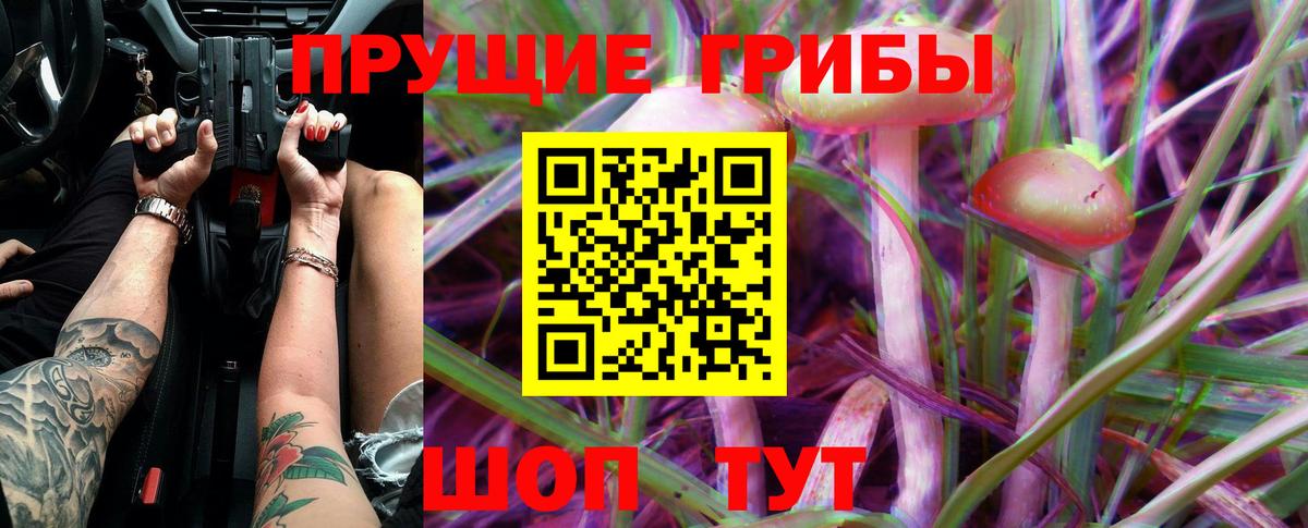 Псилоцибиновые грибы прущие грибы Мелеуз